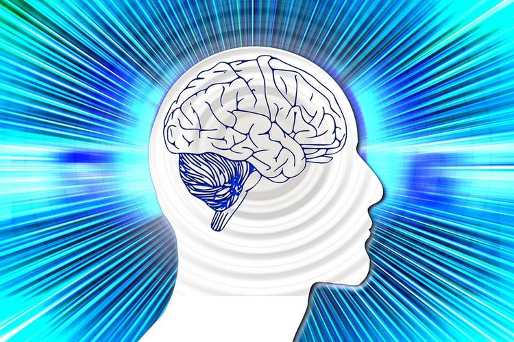 Ученые обнаружили прямую связь памяти человека с размерами его мозга