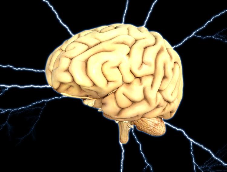 Ученые описали уникальный случай жизни мозга после смерти человека