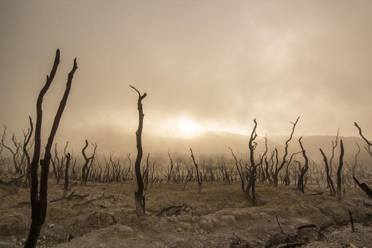 Ученые: людям следует подготовиться к климатическому аду в 2017 году