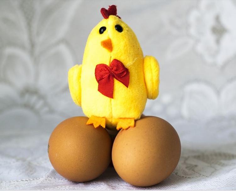 Ученые решили извечную дилемму "курицы и яйца"