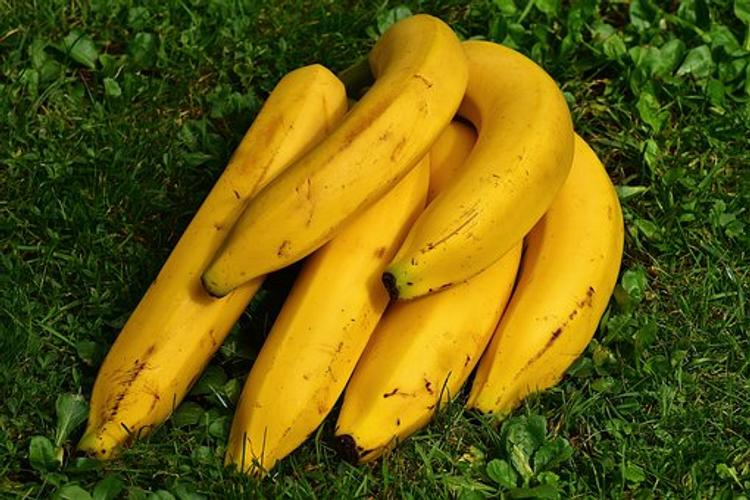 В Европе наркоманы подсели на бананы