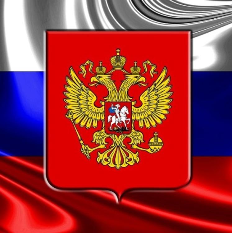 В Москве задержано 12 подростков за надругательство над флагом России