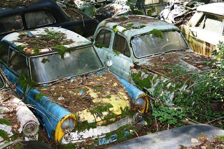 На продажу выставили кладбище старых автомобилей
