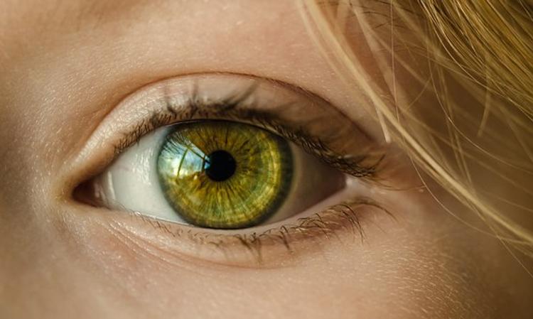 В Японии впервые пересадили стволовые клетки сетчатки глаза