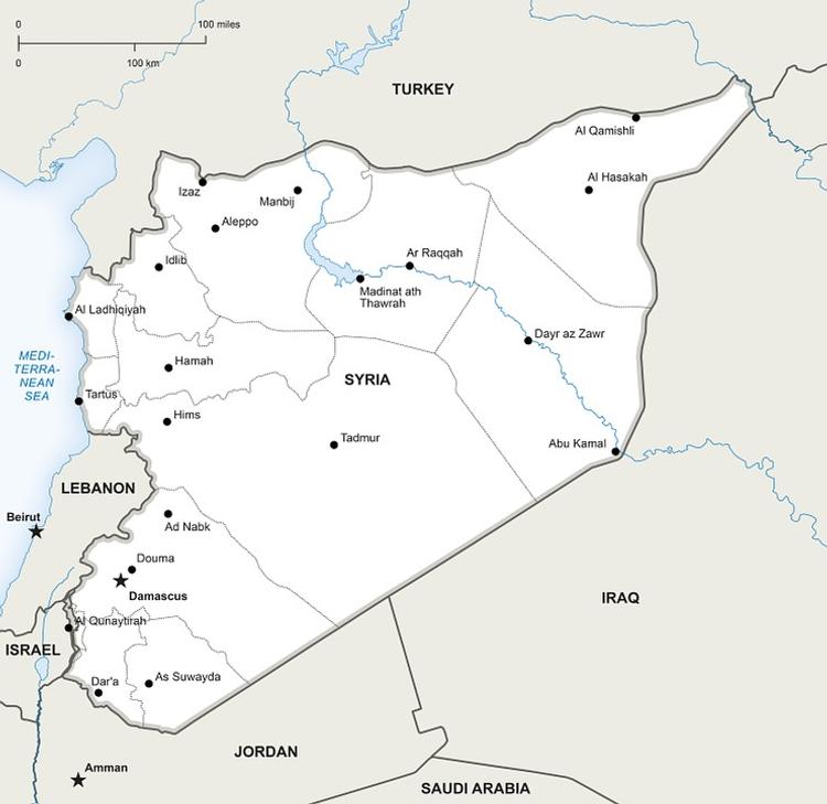 Госдума: США намерены расколоть Сирию пополам