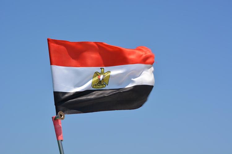 Египетский парламент одобряет введение режима чрезвычайного положения
