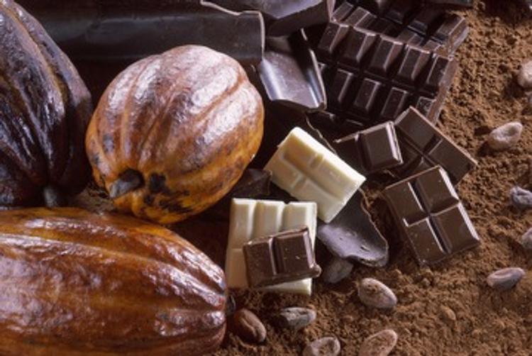 Темный шоколад способен предотвратить старение, выяснили ученые из США