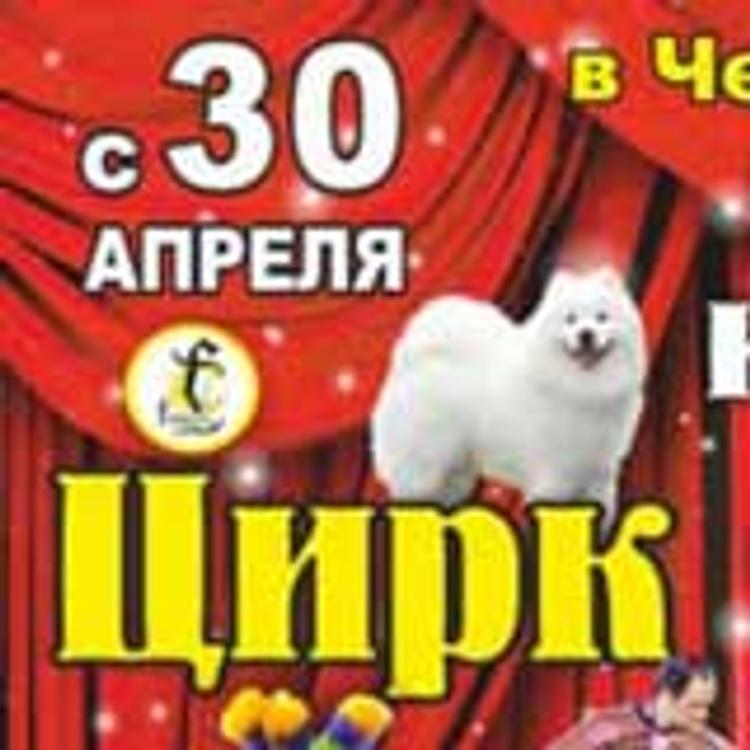 Знаменитый «Медвежий цирк» приехал в Челябинск