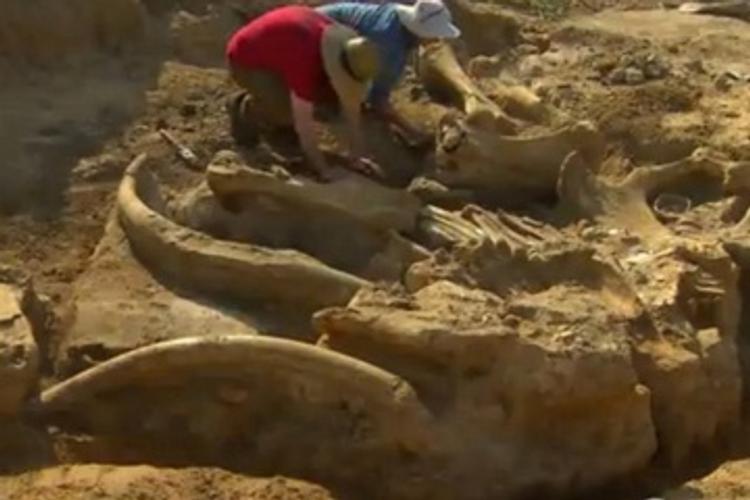 Китайские рабочие во время строительных работ нашли гробницы с артефактами