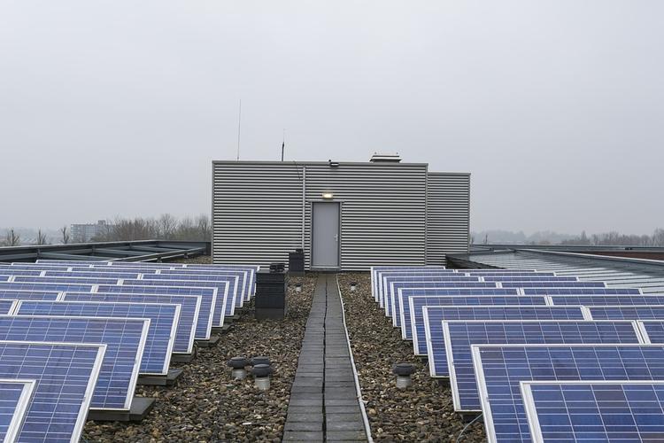 Первую солнечную электростанцию начали строить в Чернобыльской зоне