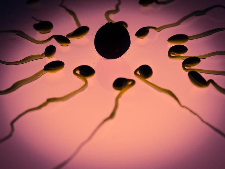 Для мужчин разработали новый эффективный способ контрацепции
