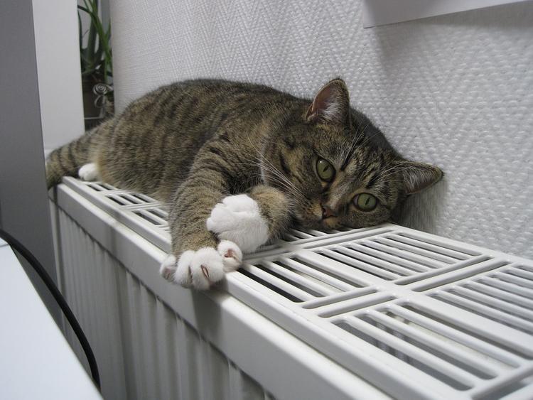 В московских домах снова включили отопление