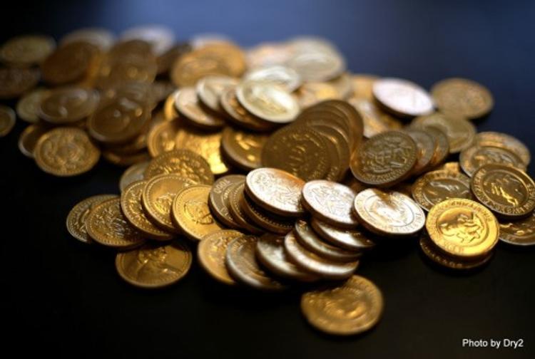 В реке Яузе нашли старинную монету стоимостью миллион рублей