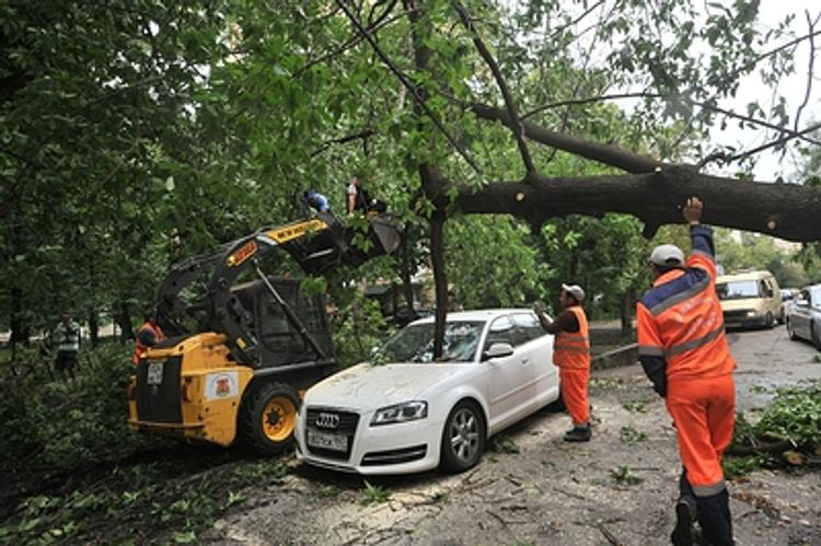 Коммунальщики Омска ликвидируют последствия урагана