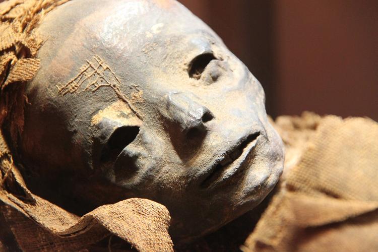 Ученым впервые удалось "прочитать" ДНК древнеегипетских мумий