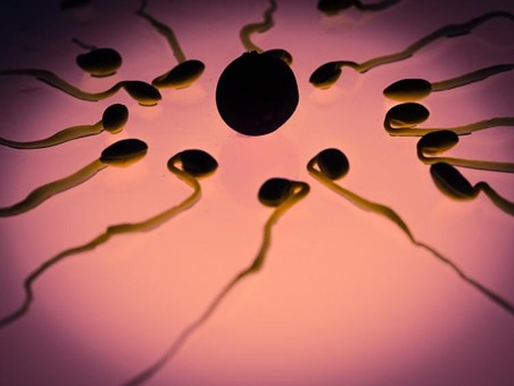 Владелец клиники подменял донорскую сперму и незаконно стал отцом 60 детей