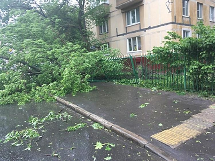 В связи с ухудшением погоды в Москве объявили штормовое предупреждение