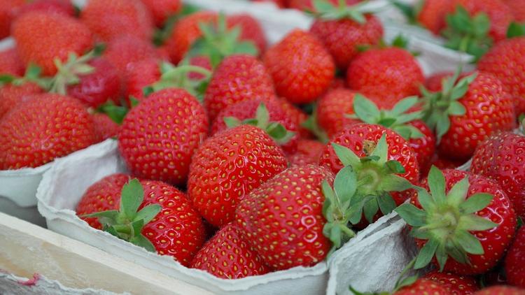 Ранние ягоды и фрукты наносят вред здоровью