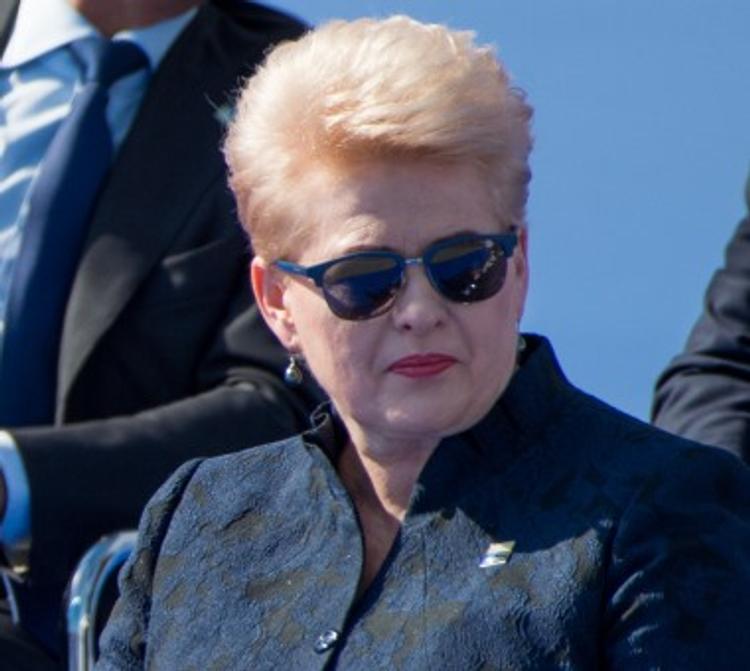 Президент Литвы назвала Белоруссию и Россию главными угрозами для страны