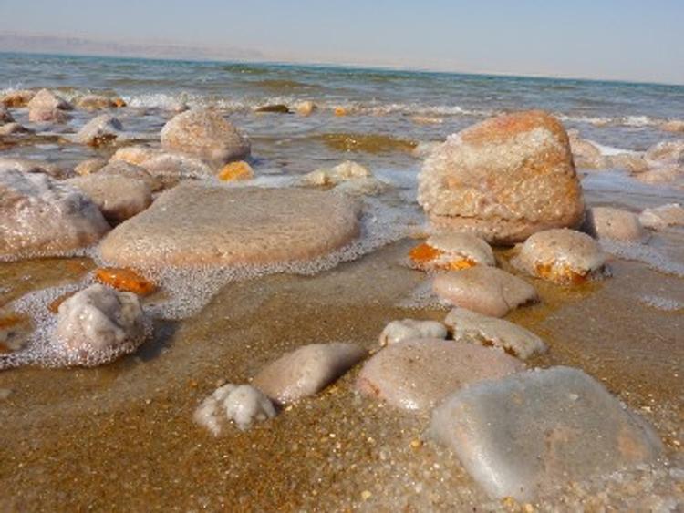 На дне Мертвого моря обнаружили следы древней катастрофы