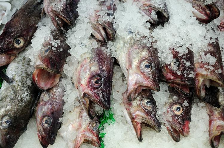 Россельхознадзор предупредил о массовых продажах просроченной рыбы