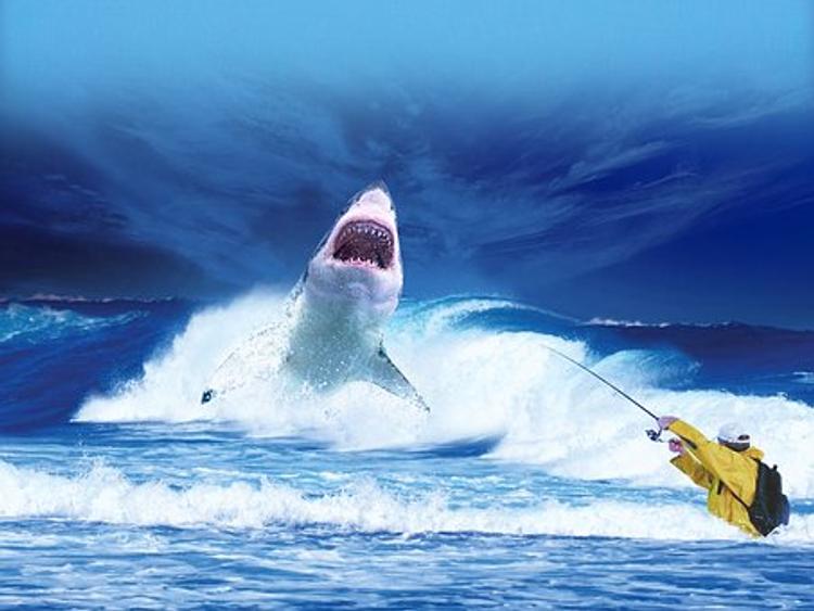 Голубая акула распугала отдыхающих на пляжах испанской Мальорки - ВИДЕО