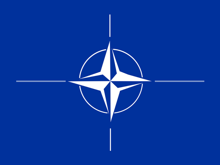 В американском конгрессе предложили поддержать вступление Грузии в НАТО