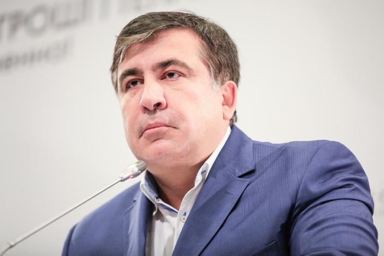 В Литве предложили выдать паспорт оставшемуся без гражданства Саакашвили