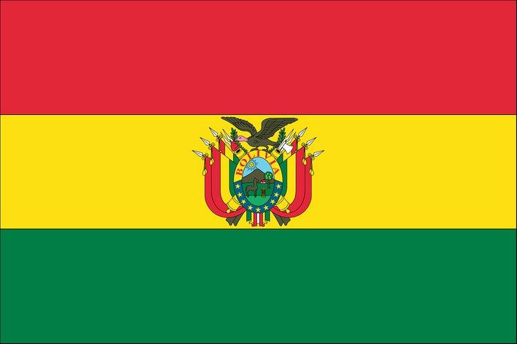 Боливия выступила против введения антироссийских санкций