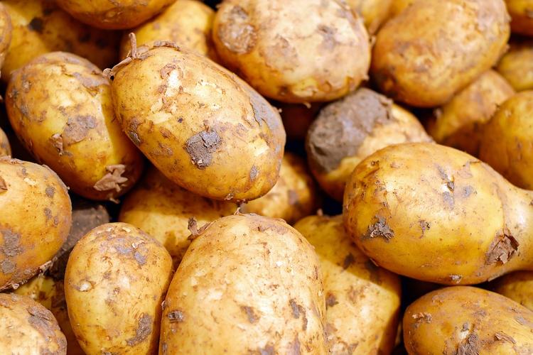 Роспотребнадзор не сможет наказать продавцов за зелёный картофель