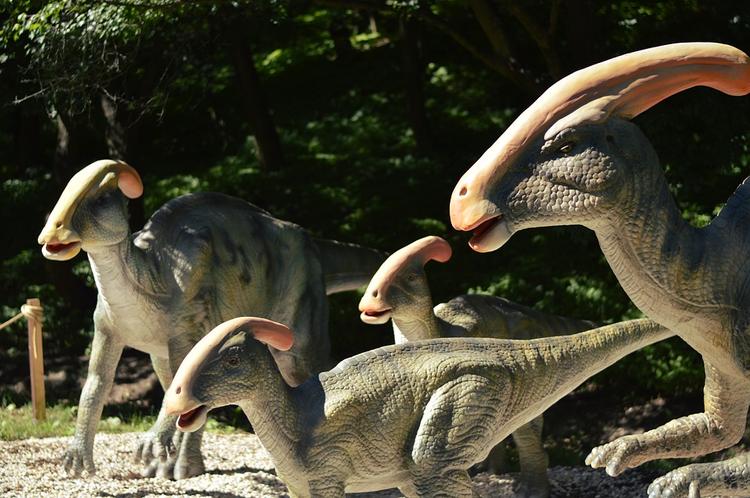 В Красноярском крае обнаружили крупное захоронение динозавров и мамонтов