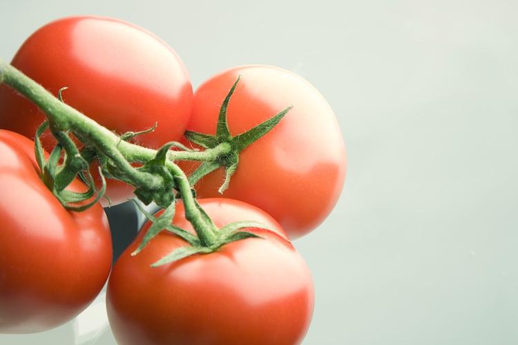 Россия не намерена возобновлять импорт томатов из Турции