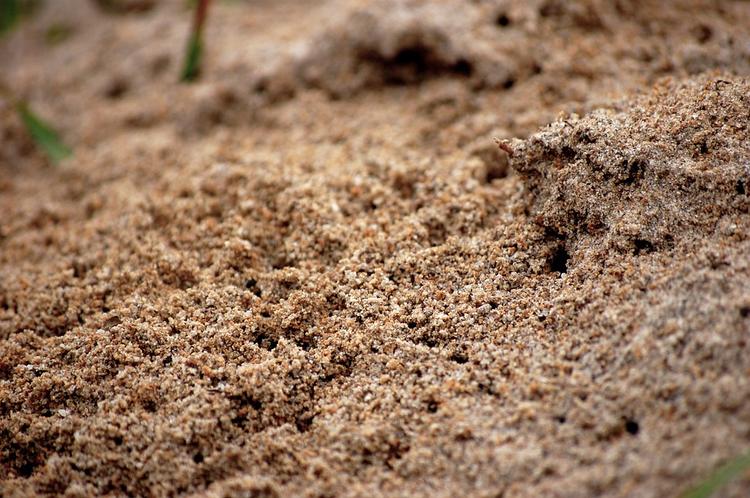 В Ленобласти самосвал засыпал песком школьника