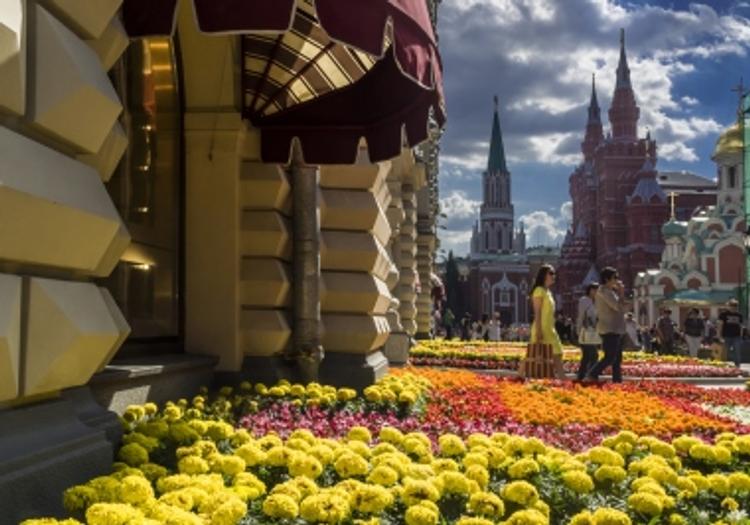 В Москве объявлен желтый уровень опасности из-за жары