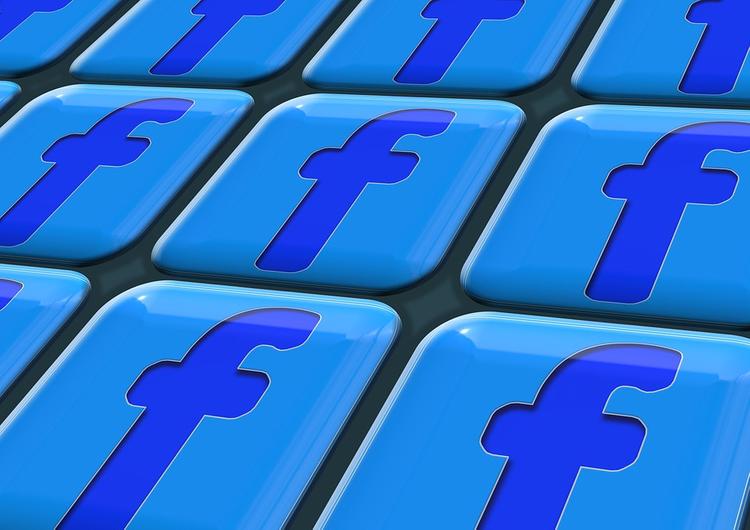 Facebook собрался отобрать домен у российской платежной системы