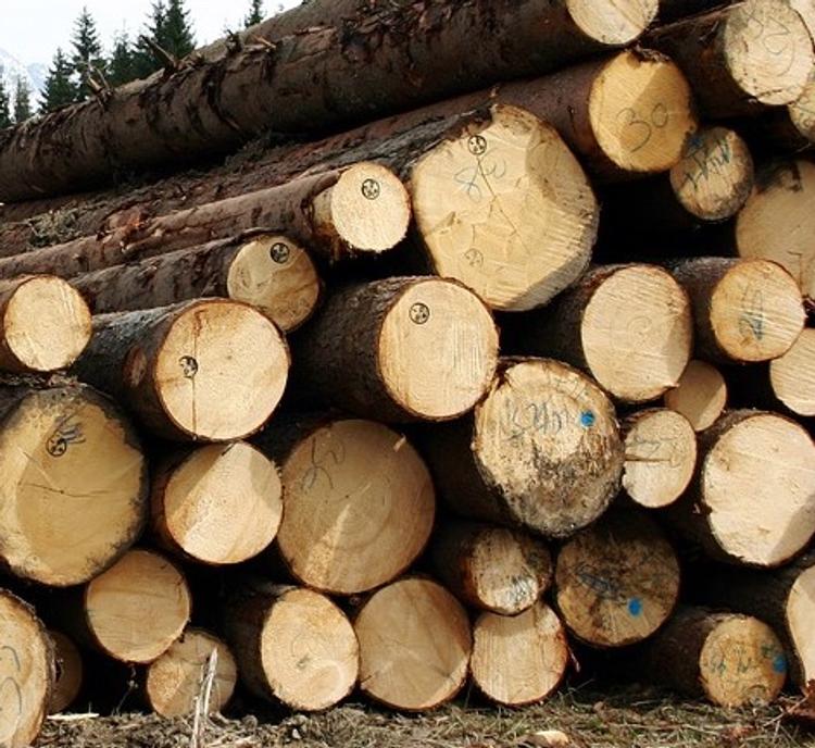 Минстрой предлагает возводить в России деревянные дома
