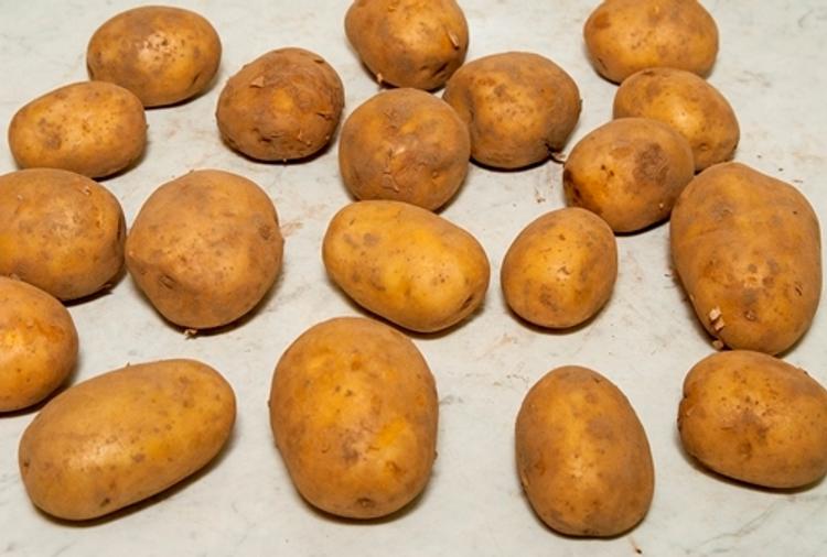СМИ: в Омске дорожные ямы стали засыпать картошкой