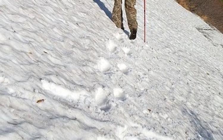 Снова перевал Дятлова: СК выясняет причины гибели человека на склоне