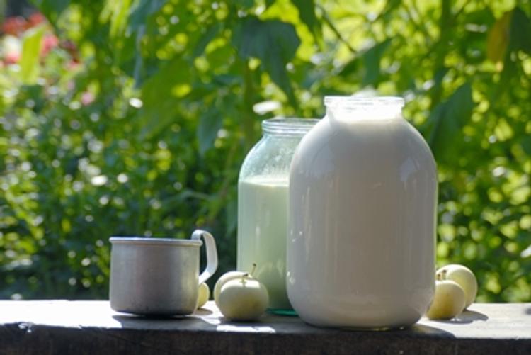 В Минобразовании одобрили предложение выдавать школьникам бесплатное молоко