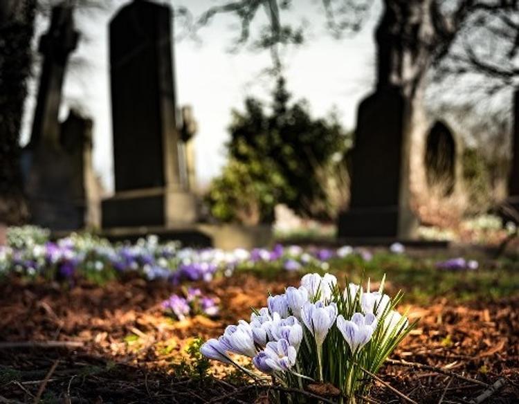 На кладбище под Хабаровском нашли останки главы похоронного бюро