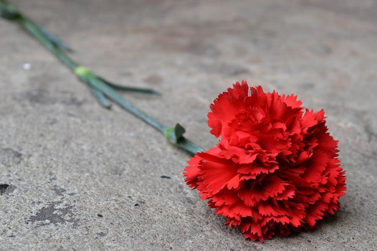 К посольству США в Москве несут свечи и цветы после трагедии в Лас-Вегасе