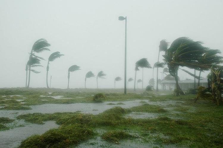 Ураган "Нэйт" обрушился на США