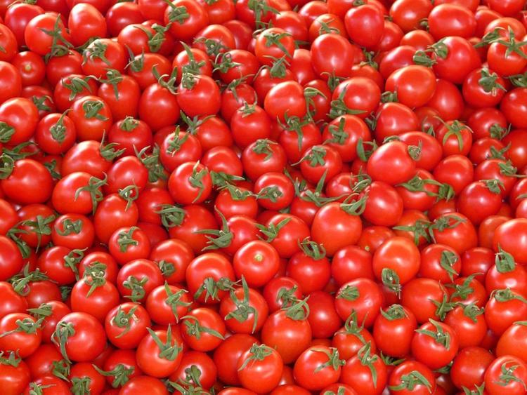 В правительстве назвали новую дату отмены ограничений на ввоз томатов из Турции
