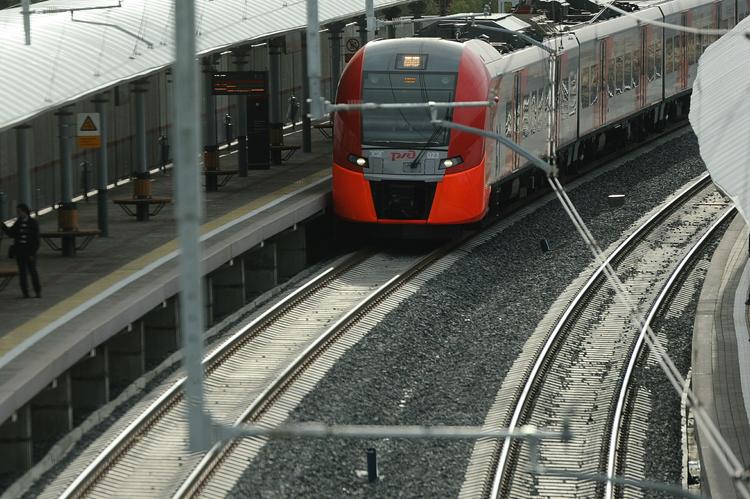 Поезд Петушки-Москва  задержан из-за хулиганов