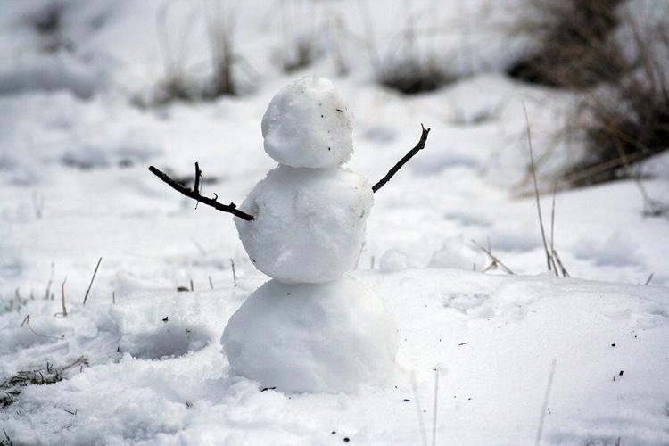 Синоптики рассказали, когда на улицах Москвы могут появиться первые снеговики