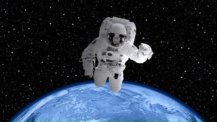 Тест для астронавтов поставил в тупик пользователей сети