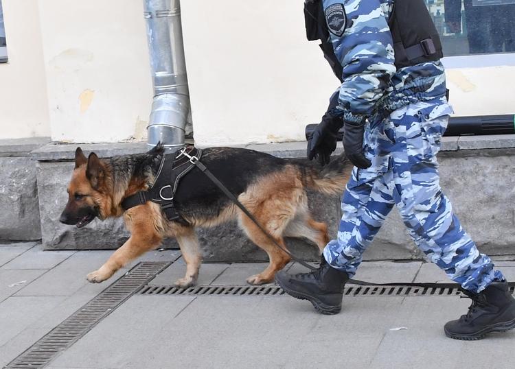 В Москве эвакуируют спорткомплекс "Олимпийский"