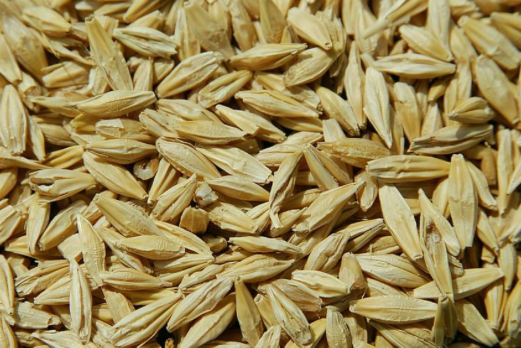 Турция вышла на первое место по импорту российского зерна