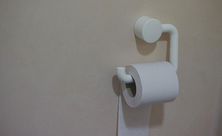В ростовской школе для учеников класса "э" устроили элитный туалет