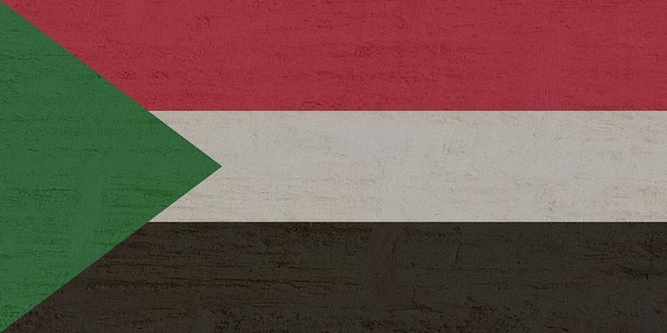 На этой неделе в Россию с визитом прибудет президент Судана